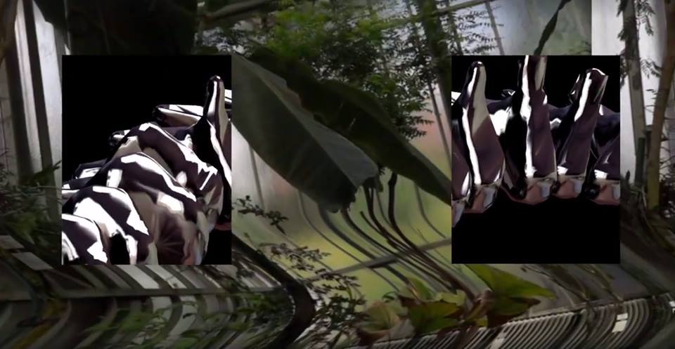 Œuvre 01