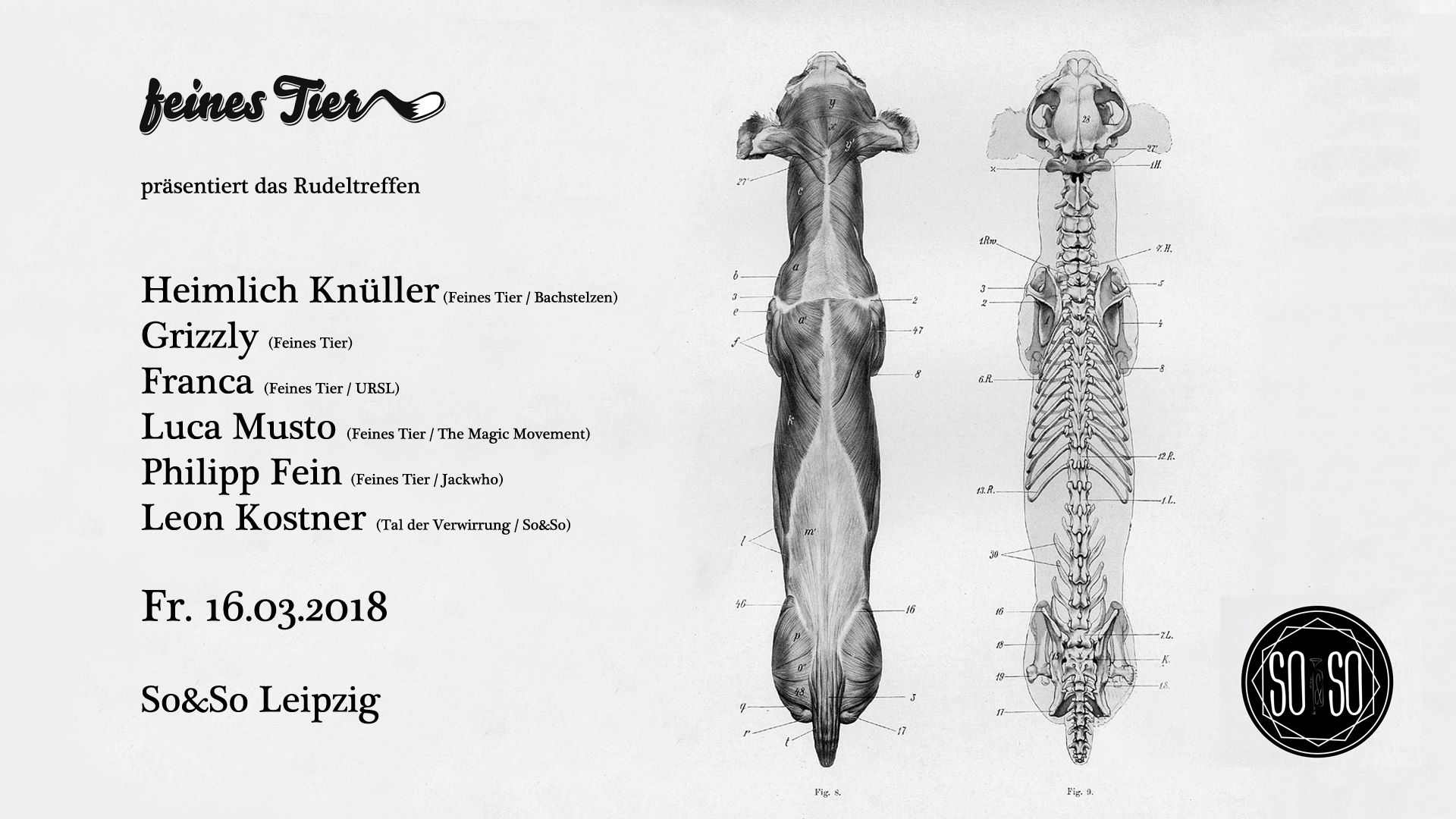 Feines Tier Rudeltreffen