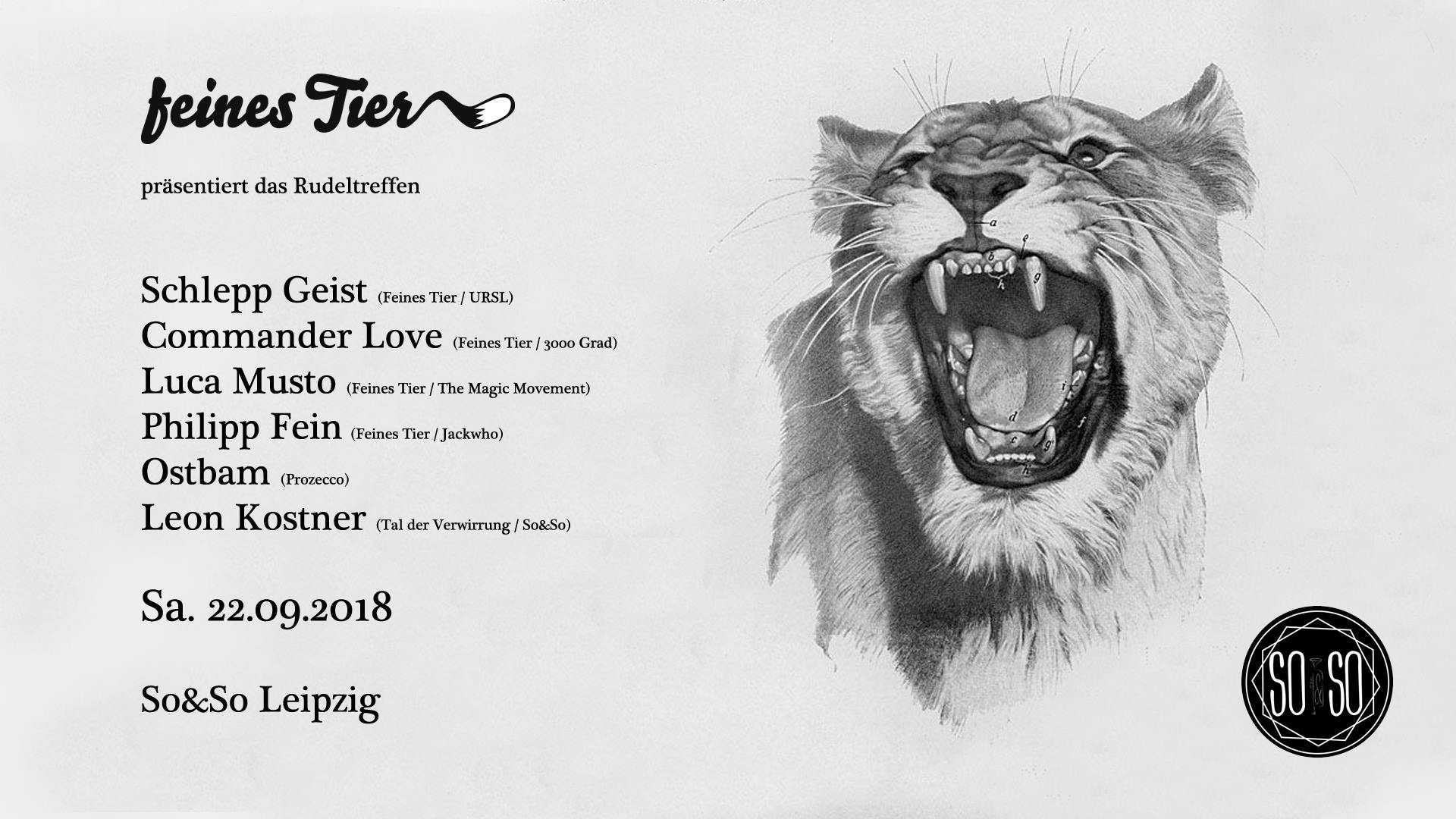 Feines Tier Rudeltreffen